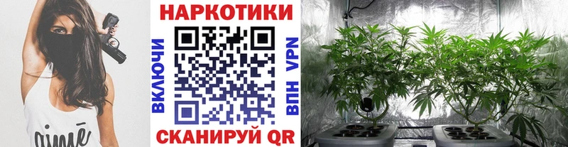Купить наркоту Томилино БУТИРАТ КОКАИН A-PVP Меф Канабис