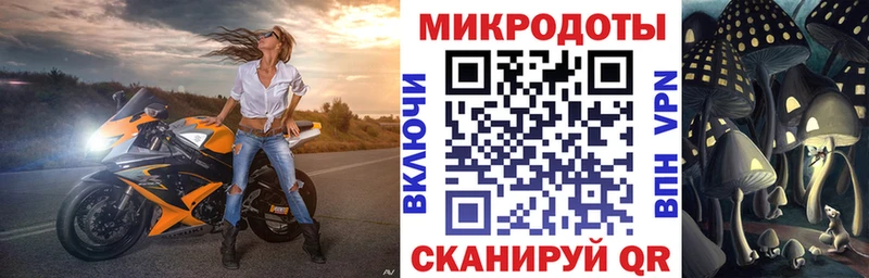 Галлюциногенные грибы Cubensis  закладки  Томилино 